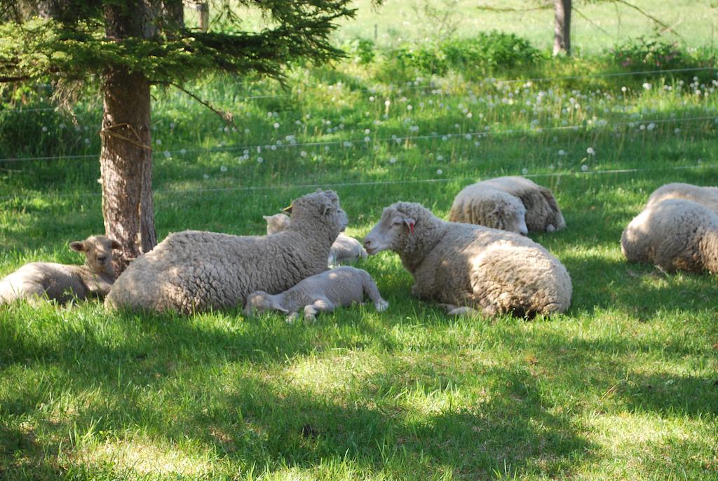 Вилла Yorkshire Farm Shintoku Экстерьер фото