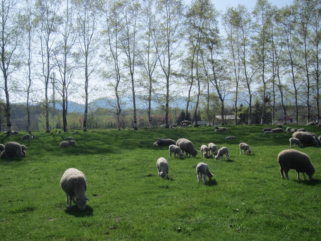 Вилла Yorkshire Farm Shintoku Экстерьер фото