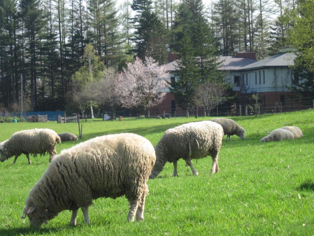 Вилла Yorkshire Farm Shintoku Экстерьер фото