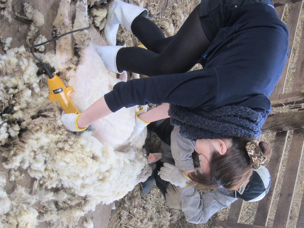 Вилла Yorkshire Farm Shintoku Экстерьер фото