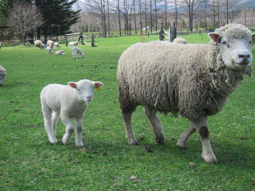 Вилла Yorkshire Farm Shintoku Экстерьер фото