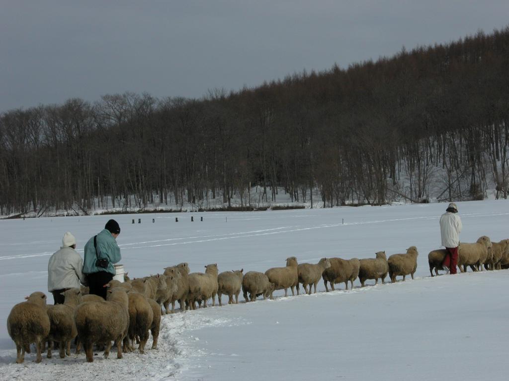 Вилла Yorkshire Farm Shintoku Экстерьер фото